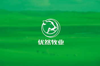 品牌策略規(guī)劃、VI設(shè)計(jì)、LOGO設(shè)計(jì)、產(chǎn)品包裝設(shè)計(jì)