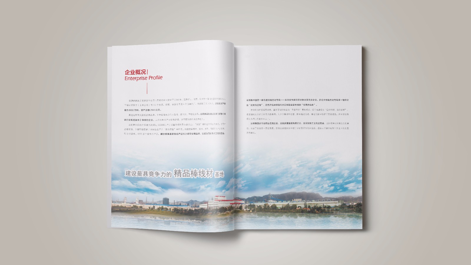 凌源鋼鐵平面宣傳畫(huà)冊(cè)設(shè)計(jì)