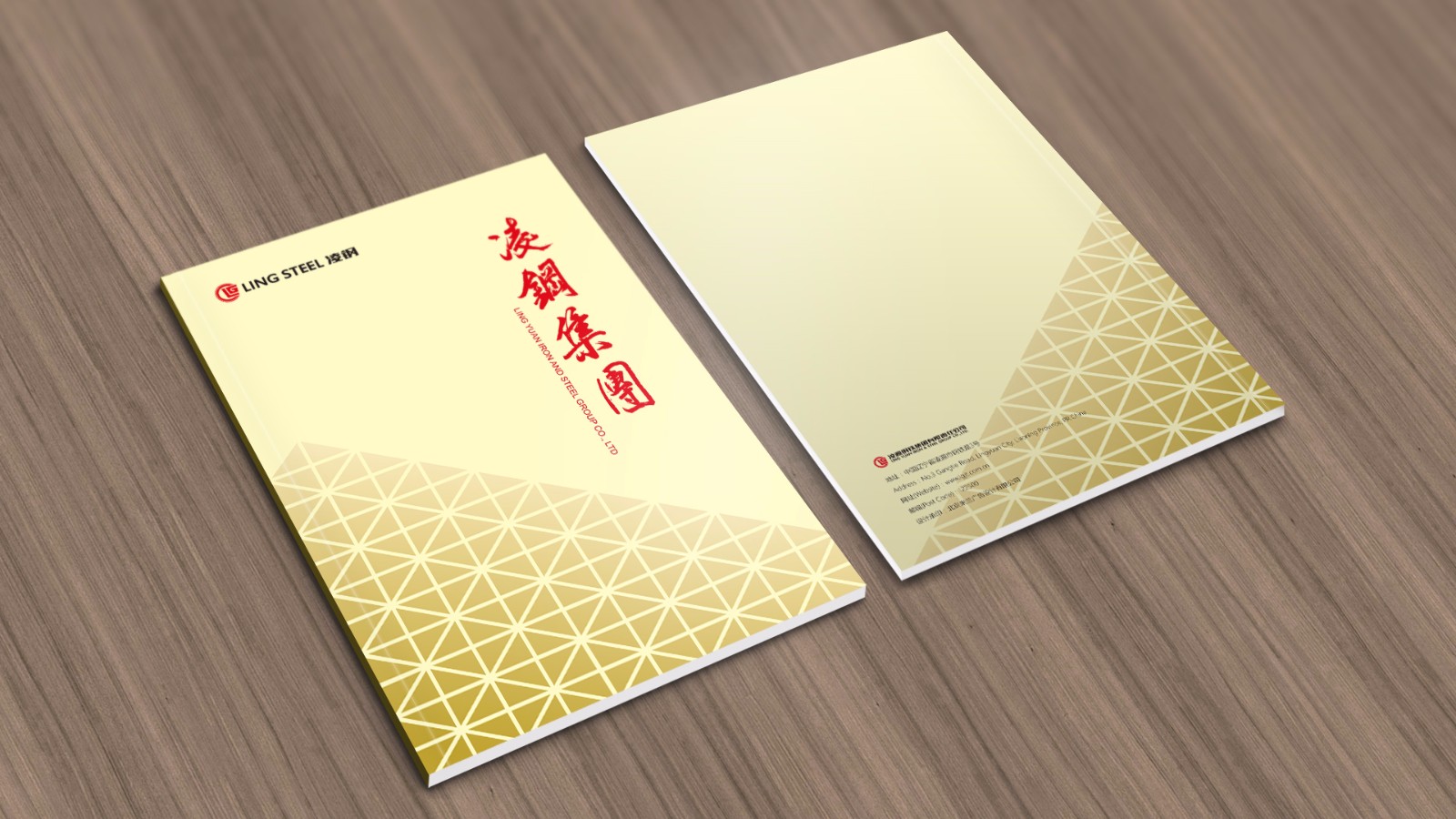 凌源鋼鐵50周年平面畫冊設(shè)計(jì)