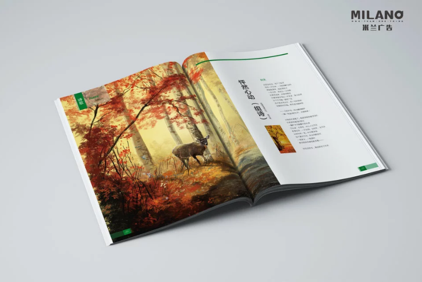 畫冊設(shè)計制作